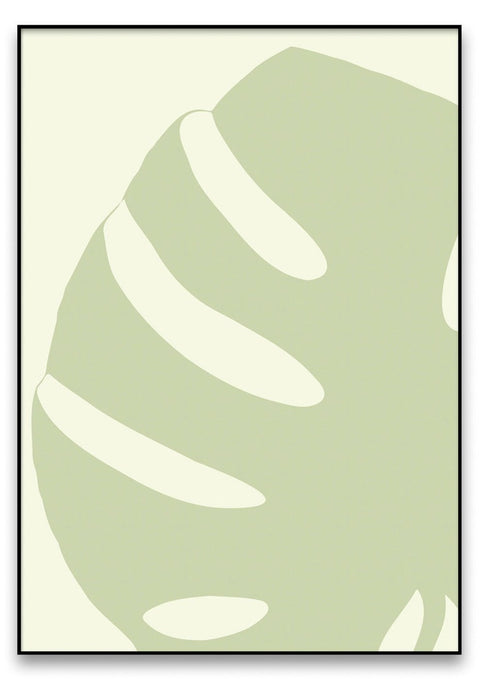 Ein grünes Monstera-03 Blatt als Malerei auf einem weißen Hintergrund.