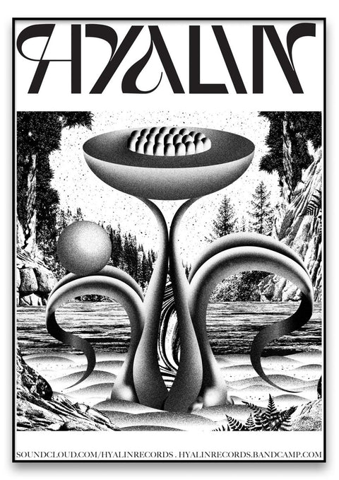 Ein Schwarz-Weiß-Poster mit einer monochromen Landschaft für Hyalin Records.