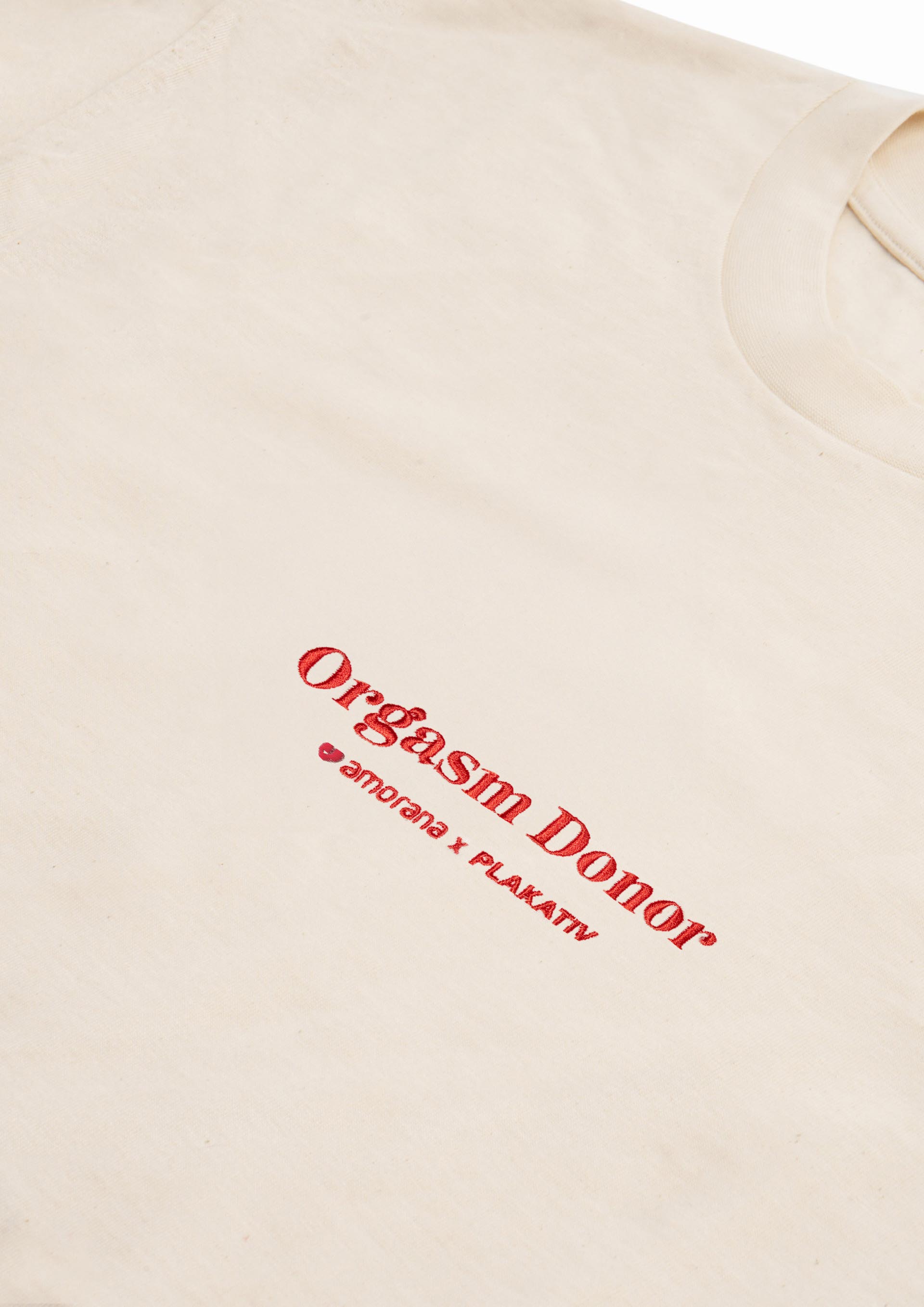 «CS Risk Management» embroidery heavy weight tee