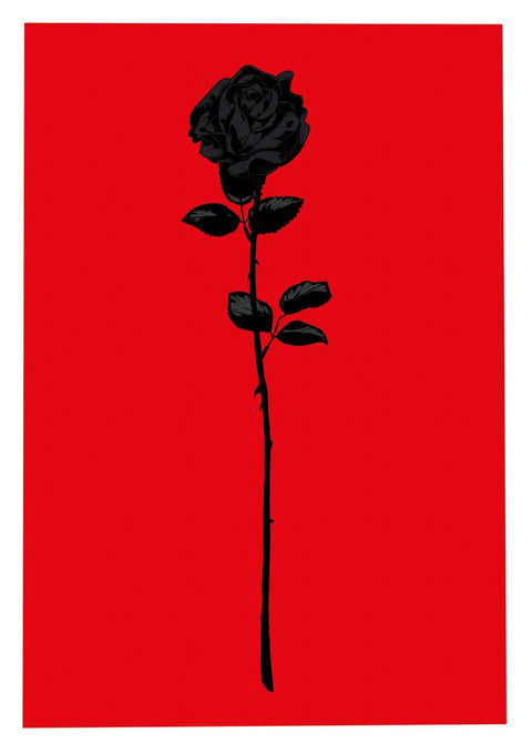 Eine schwarze Rose auf einem roten Hintergrund.