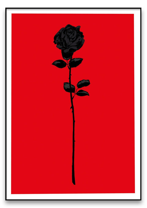 Eine schwarze **Rose** auf einem roten Hintergrund.