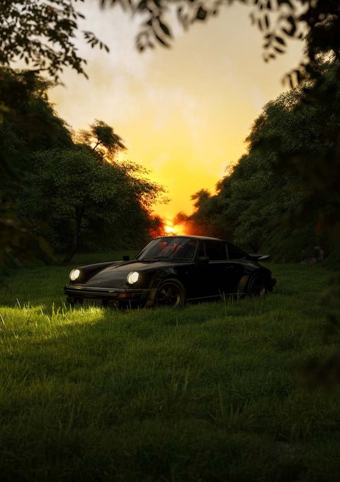 Ein schwarzer Escape Sportwagen parkte auf einer Wiese bei Sonnenuntergang.