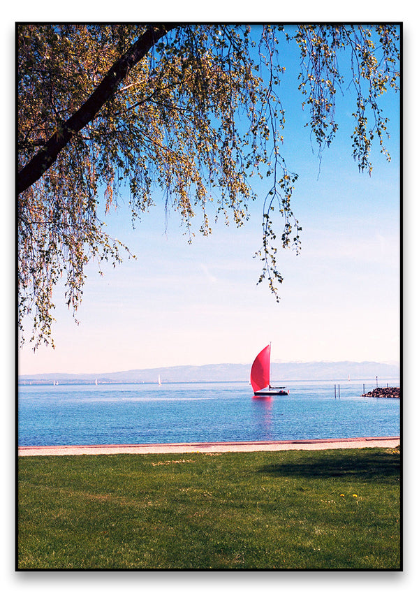 Ein roter Yachthafen im Wasser in der Nähe einer grasbewachsenen Fläche.