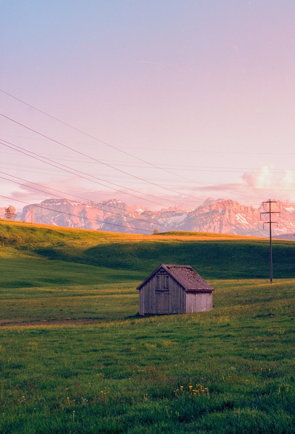 Ein Schopf in einem Feld mit Bergen im Hintergrund.